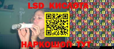 прущие грибы Ирбит