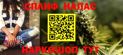 прущие грибы Ирбит