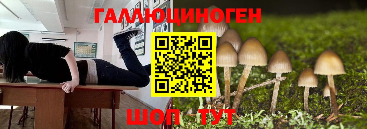 Псилоцибиновые грибы мухоморы  Вход с VPN  Галлюциногенные грибы мицелий  Ялуторовск 
